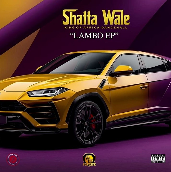 Download MP3: Shatta Wale – When We Deh Come
